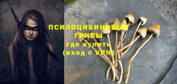 ALPHA PVP Верхнеуральск