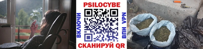 Галлюциногенные грибы мухоморы  где купить наркотик  Семёнов 